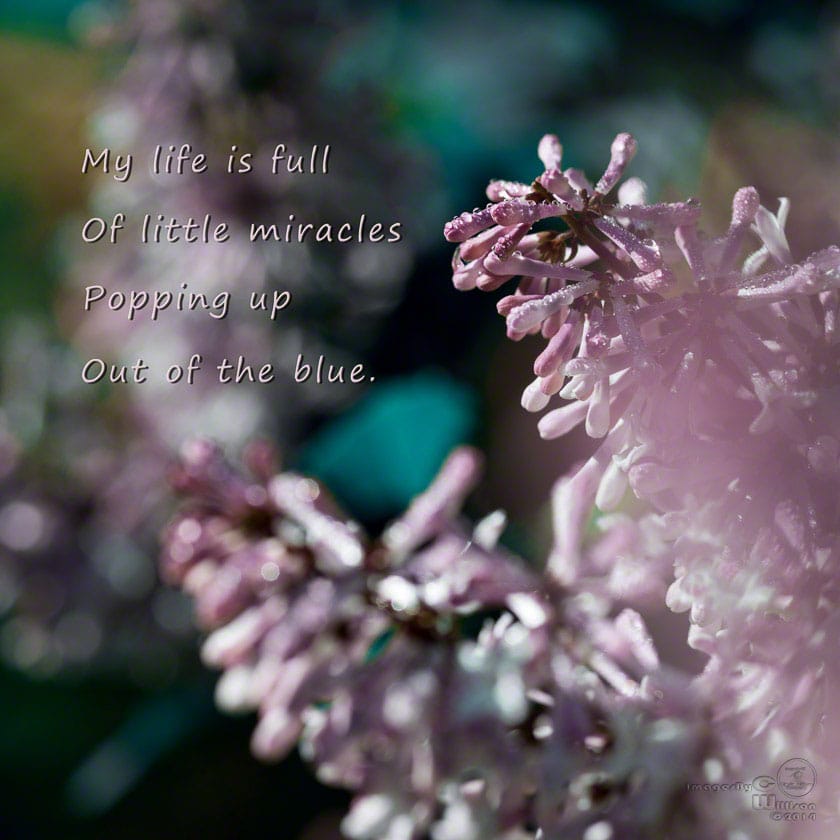 Typography photos & quotes … by Claudia Willison