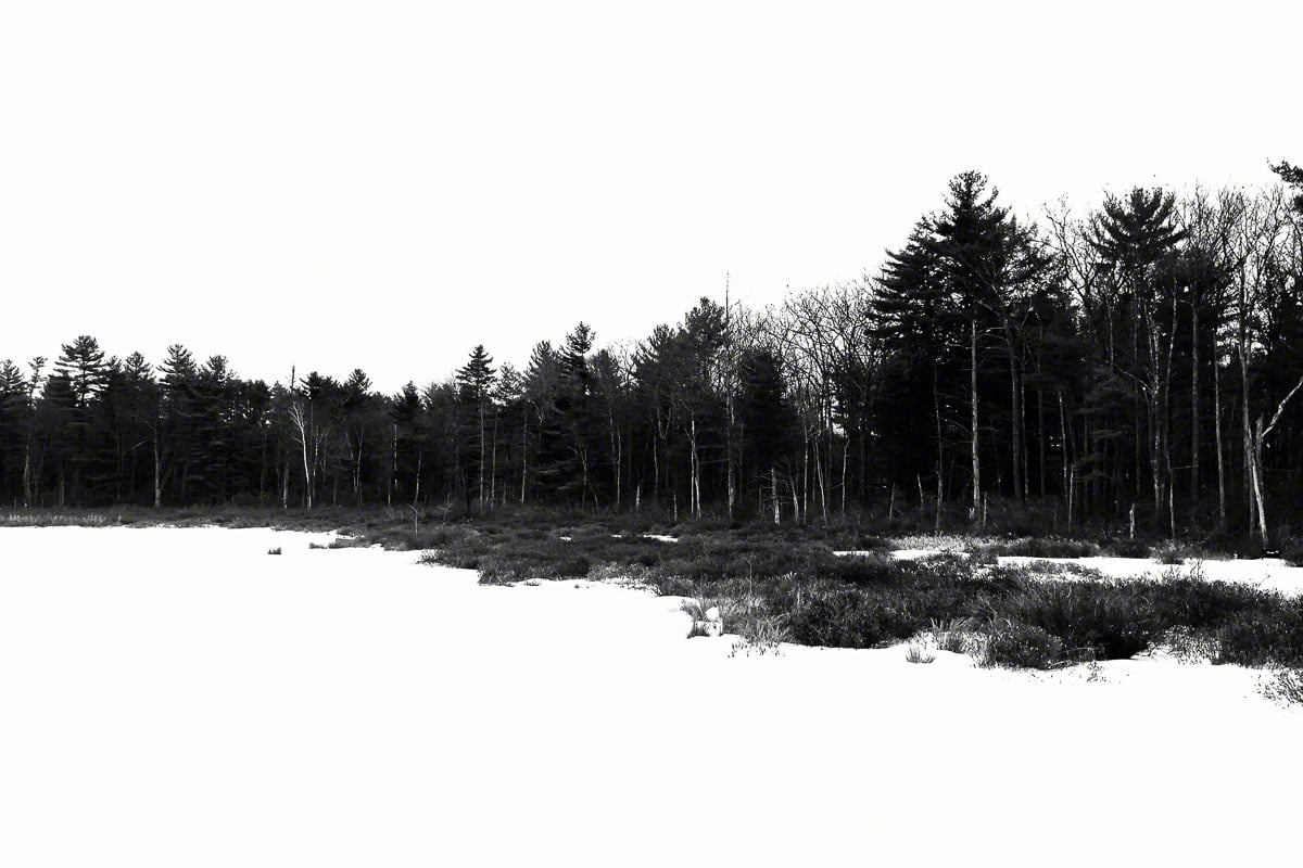 woodloch winter